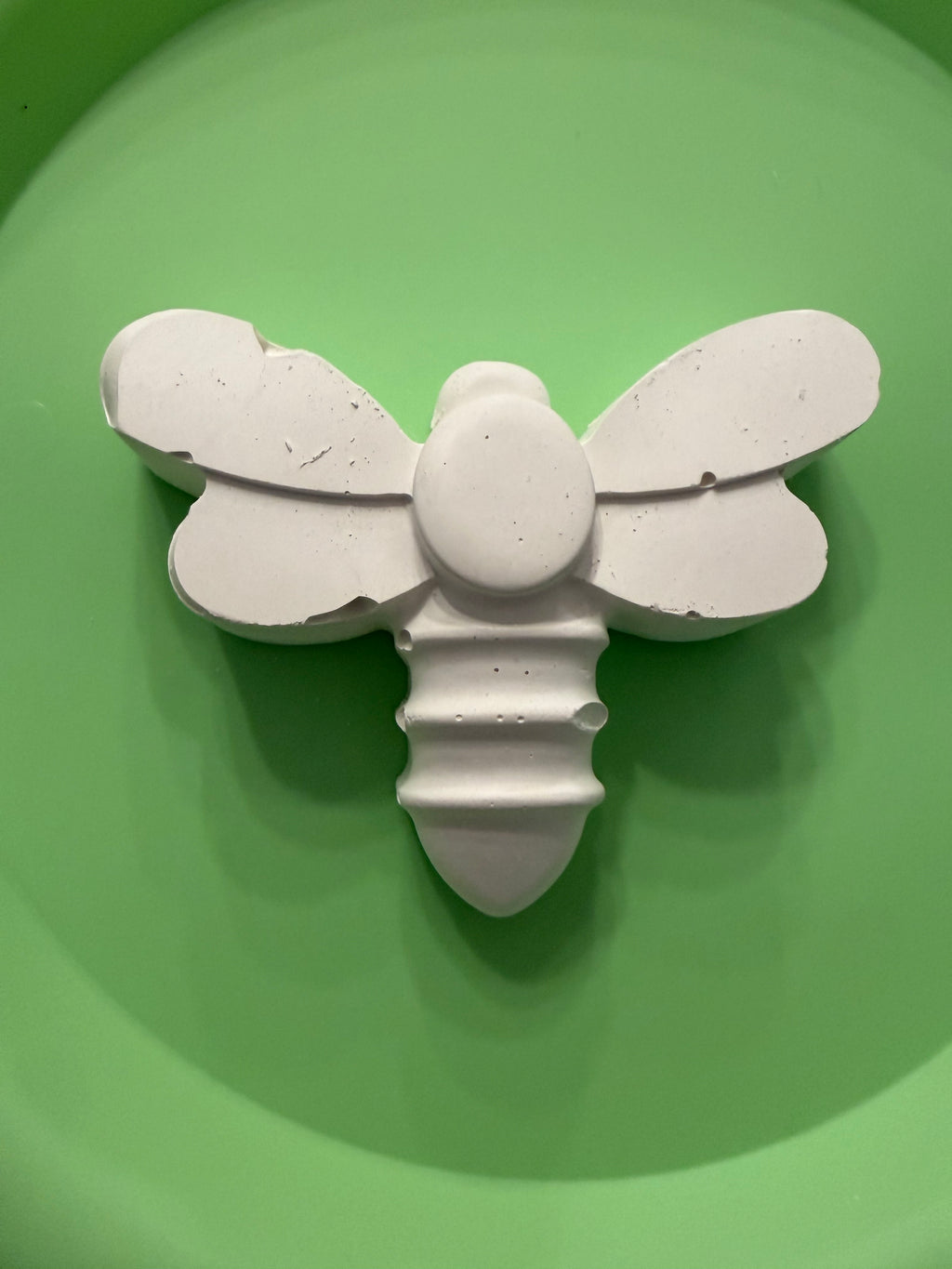 Paint-Your-Own Plaster Craft Kit- LARGE